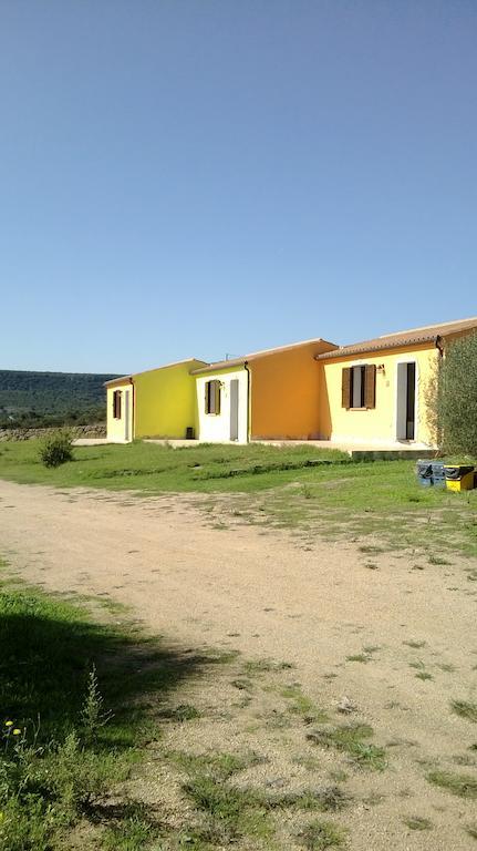 سانتا ماريا Agriturismo B&B Casteldoria المظهر الخارجي الصورة