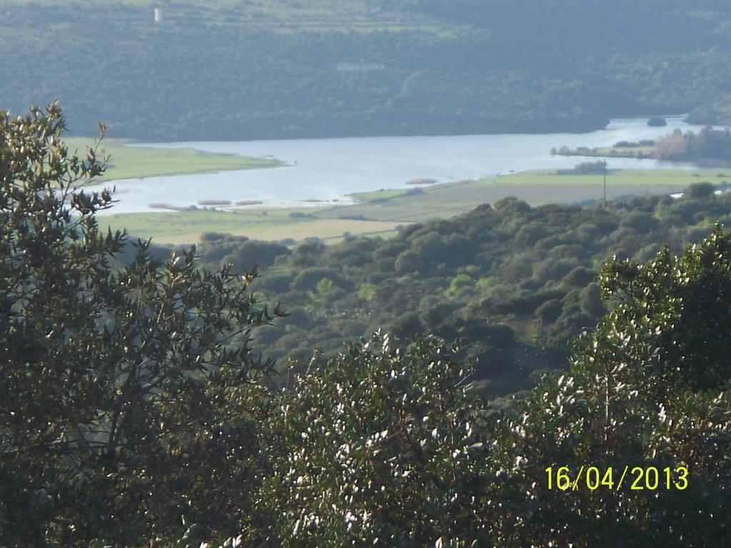 سانتا ماريا Agriturismo B&B Casteldoria المظهر الخارجي الصورة